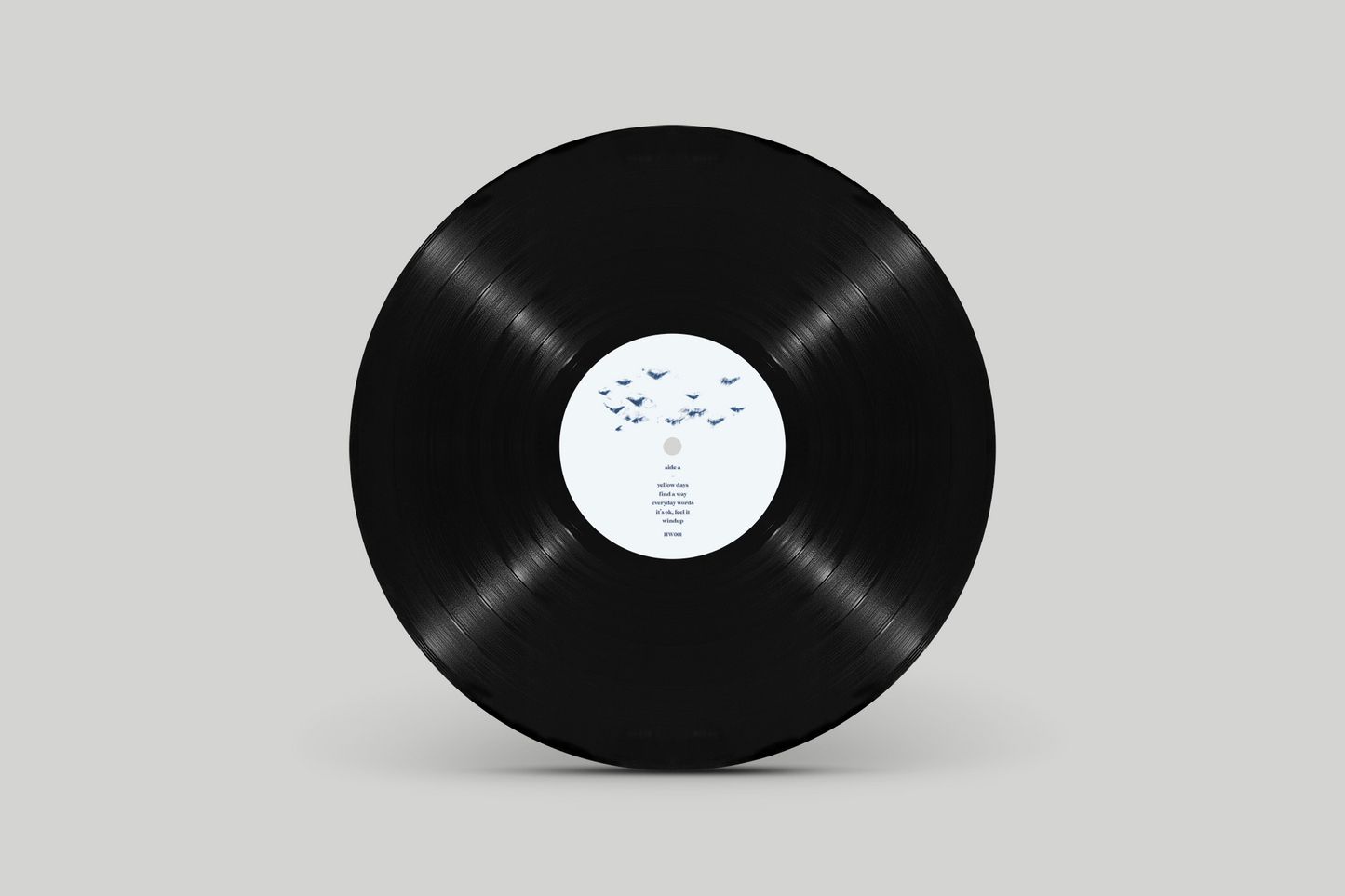 Find a Way 12" BioVinyl